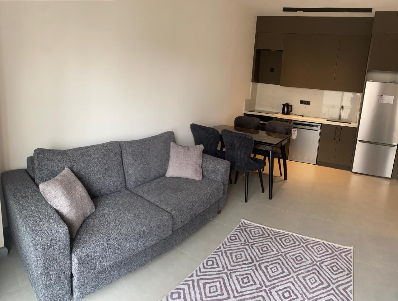 1+1 turnkey apartment in the center of Alanya - long-term rent near Keykubat Beach No. 29