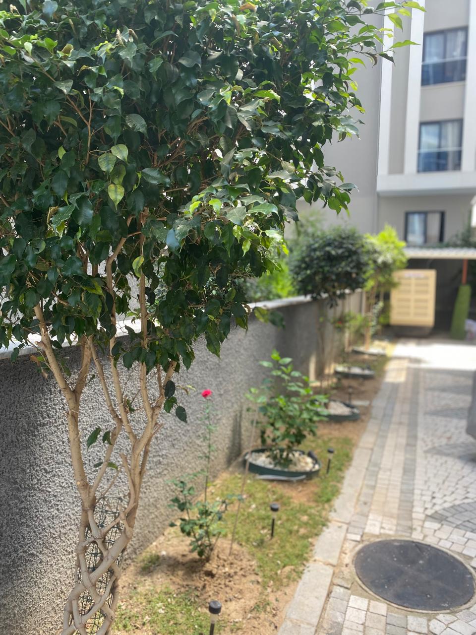 1+1 Apartment for Rent in Mahmutlar – 55 m², Ready for Occupancy No. 8