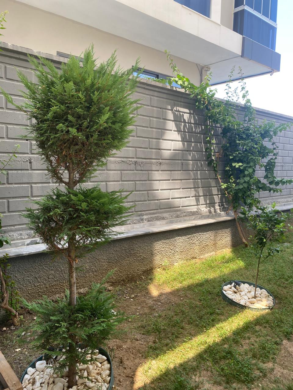 1+1 Apartment for Rent in Mahmutlar – 55 m², Ready for Occupancy No. 8