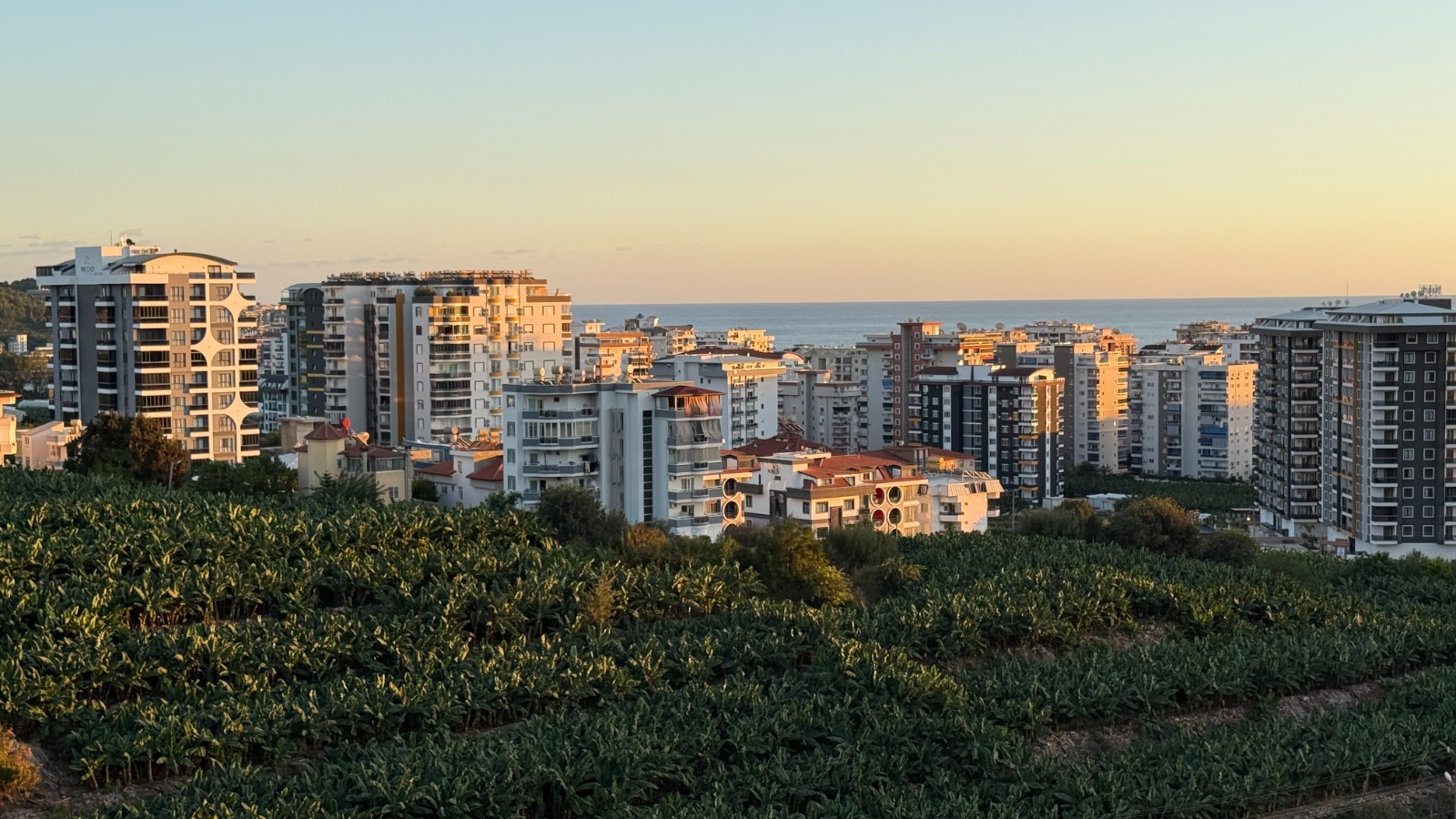Срочная продажа недвижимости в Алании - квартиры с видом на море в районе Махмутлар