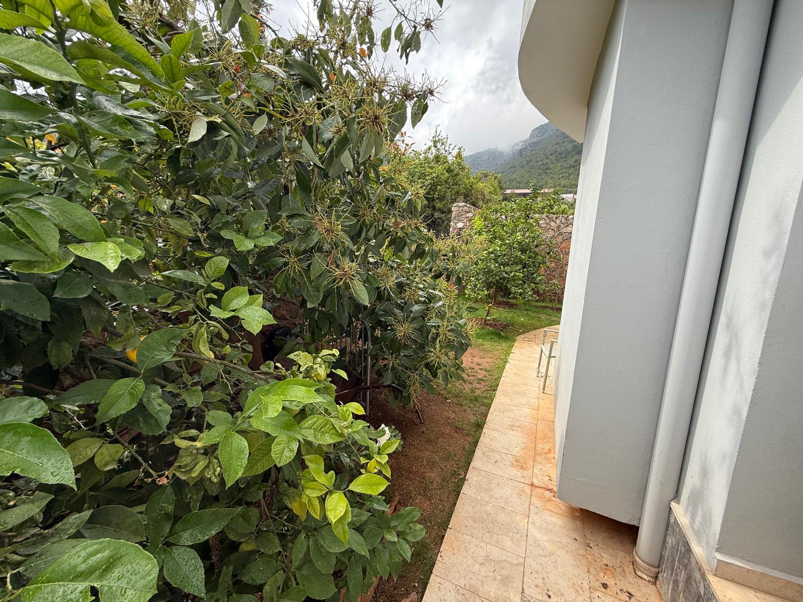 Villa in Alanya for residence permit and citizenship - a detached 4+1 with a pool and garden in the Oba area