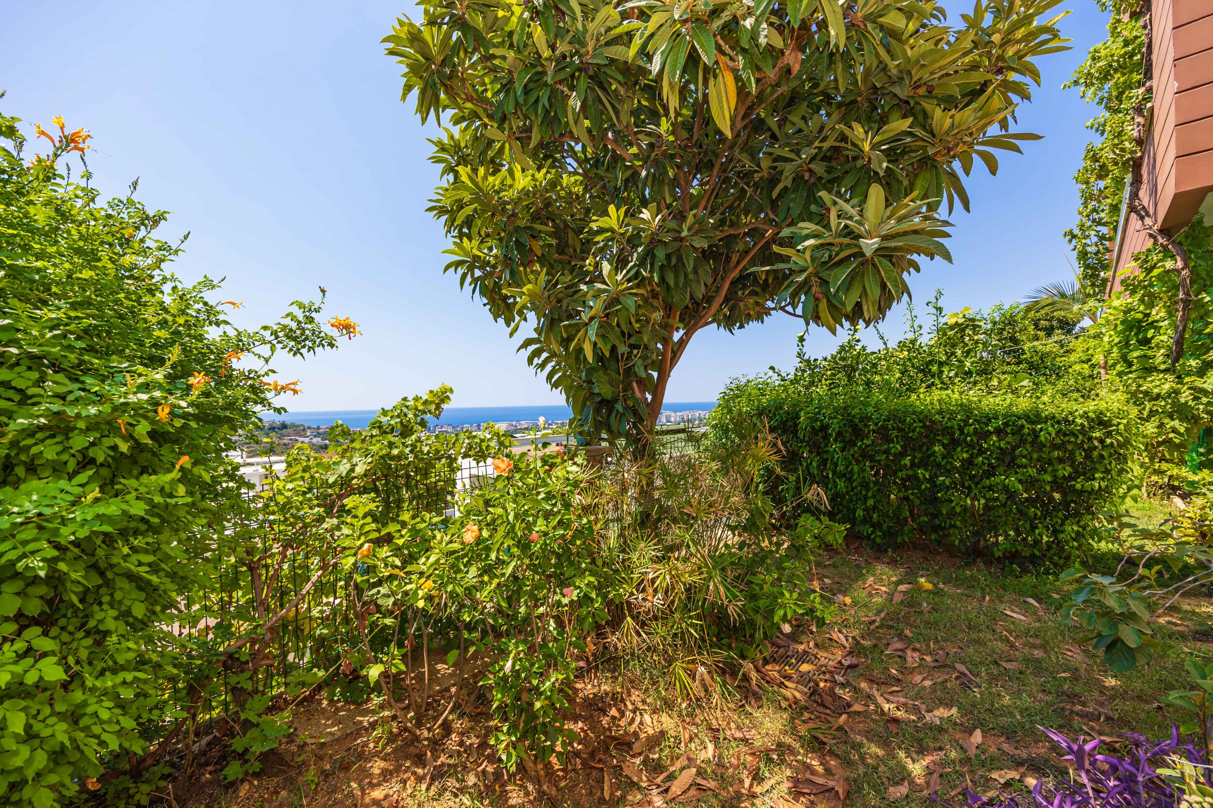 Garden with flowering shrubs and a sea view beside a villa in Kargicak for sale