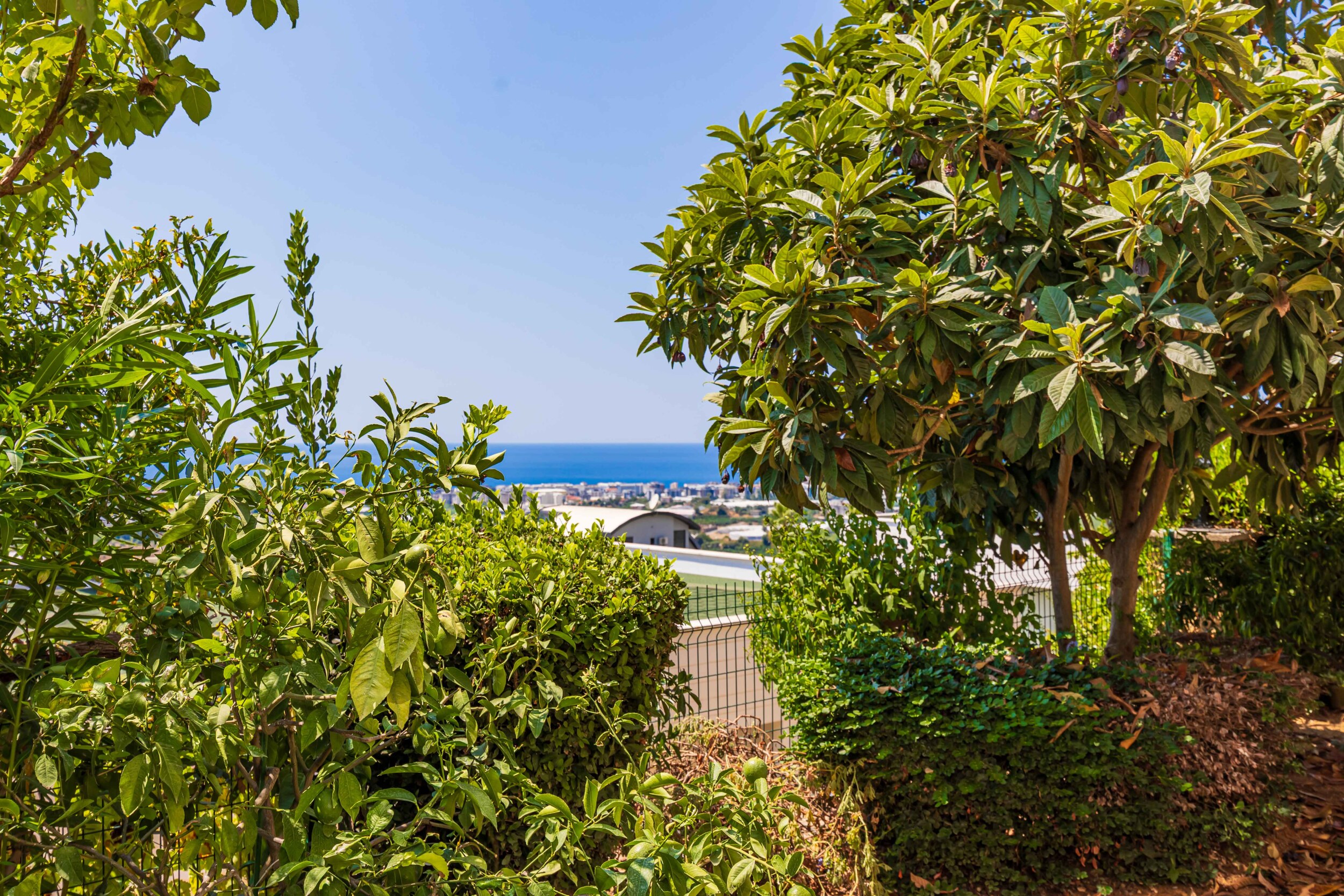 Dense garden greenery and trimmed shrubs beside a villa in Turkey with a sea view