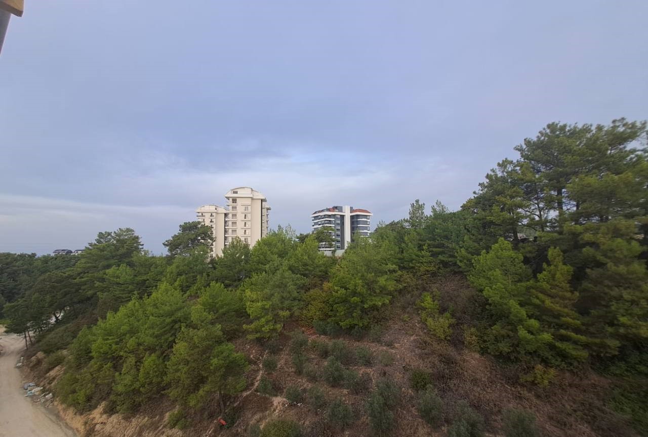 Ormanlık alan manzarasında çam ağaçları ve çok katlı konut binaları, toprak yolun üzerinde