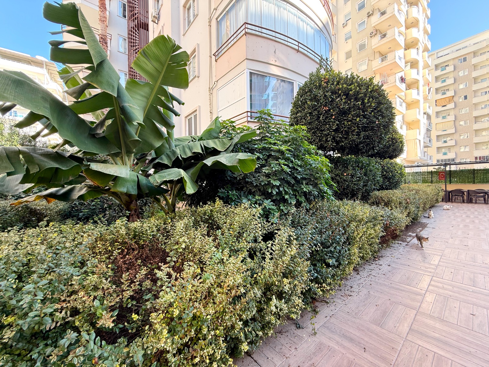 Landscaped garden with banana leaves and a winding path in Mahmutlar where property is for sale