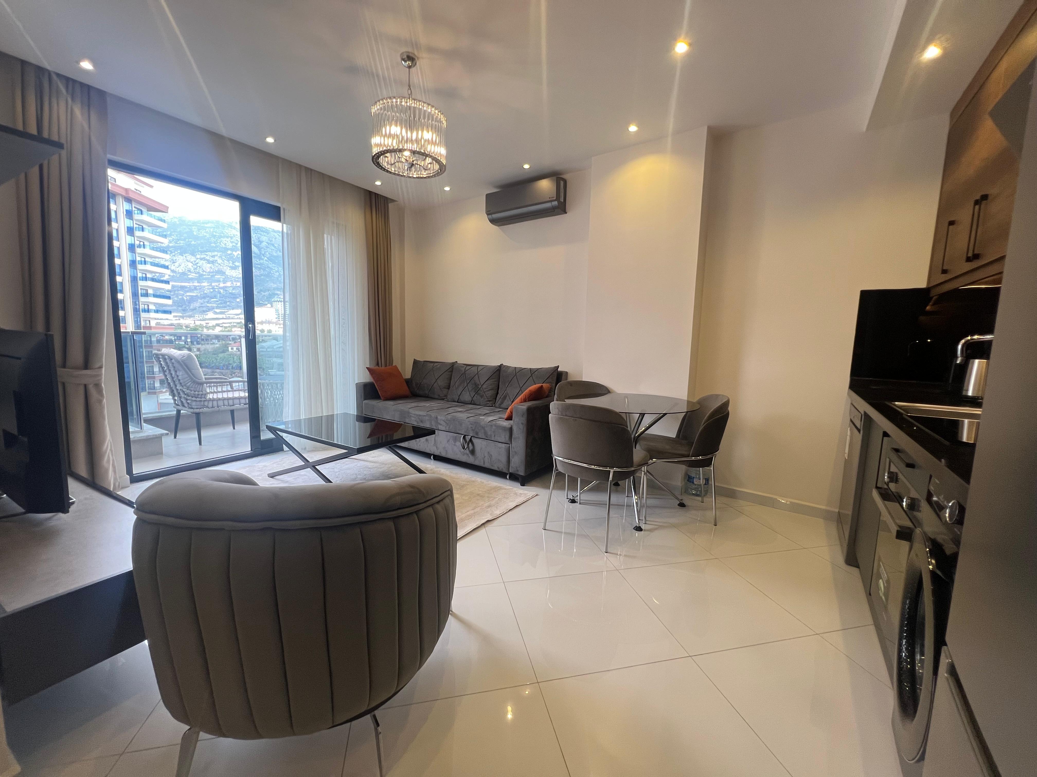Kitchen-living room with a gray sofa and dark cabinets in an apartment
