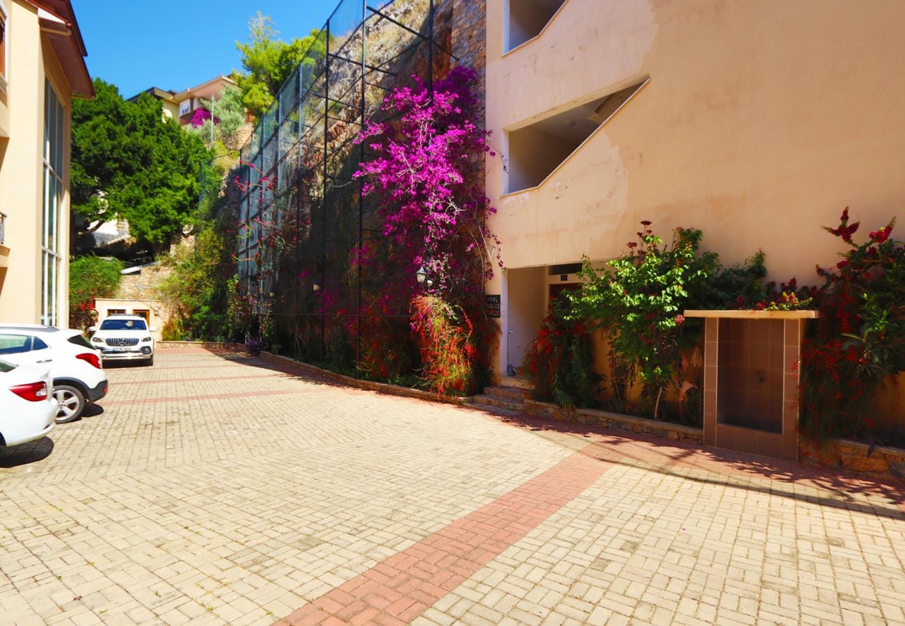 Pembe çiçekli çalının yanından geçen kırmızı şeritli yol, Alanya’daki daire kompleksinde