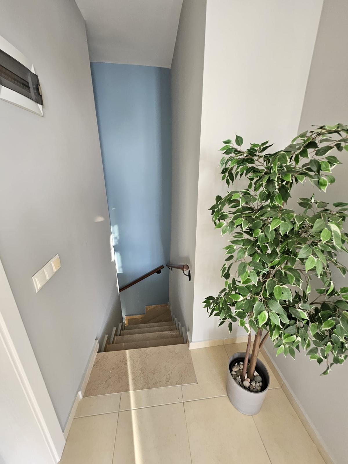 Penthouse içindeki merdiven bölümünde ahşap korkuluklar, açık basamaklar ve mavi vurgu duvarı