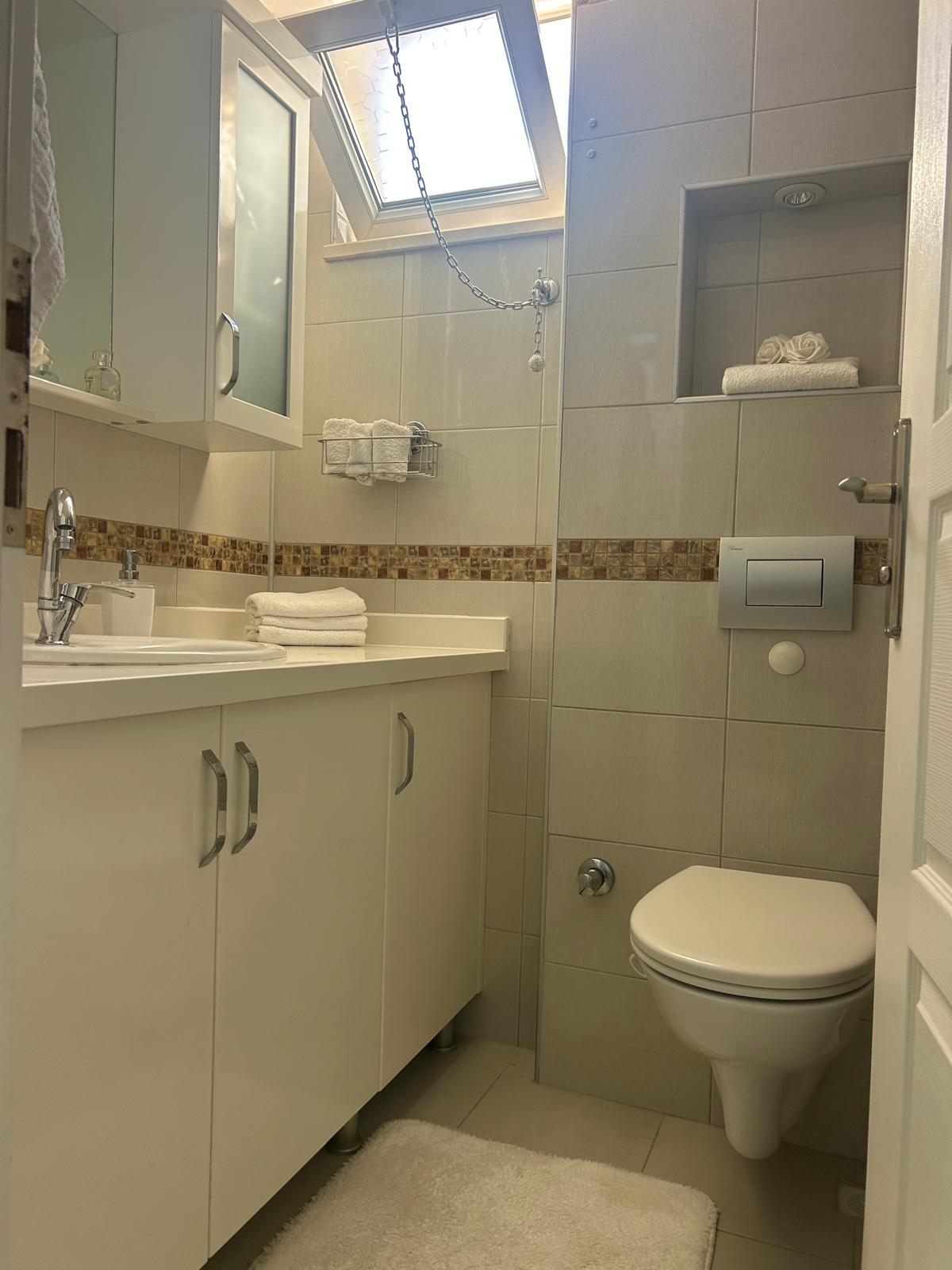Asma klozetli banyo, dairede aynalı dolap ve mozaik bordürlü seramiklerle
