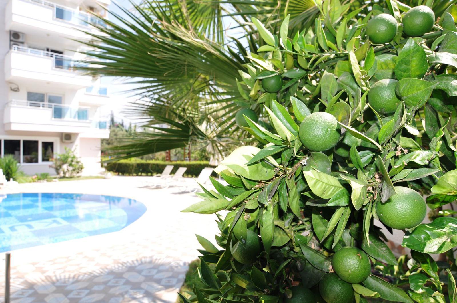 1+1 apartment in Mahmutlar – new furniture, 70 m², glazed balcony, sea and mountain views