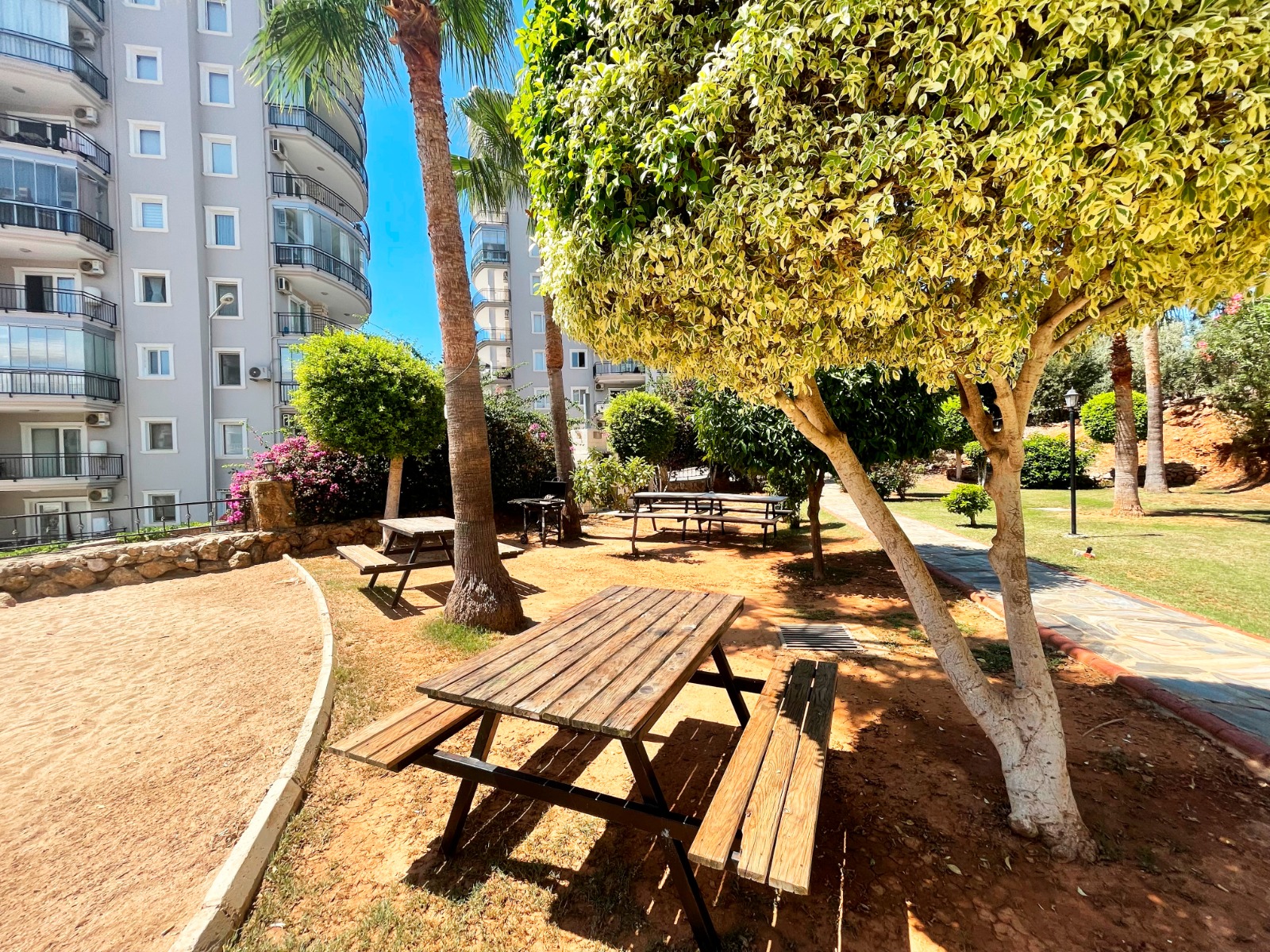 Ahşap piknik masaları, banklar ve gölgeli ağaçların bulunduğu dinlenme alanı